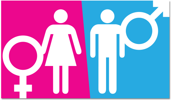 name-verification-gender-determination