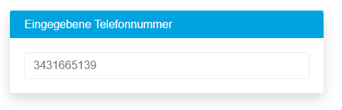 telefonnummer-pruefen-eingabe